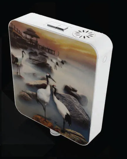Flush Tank & Seat Cover Flush Tank & Seat Cover