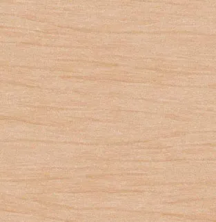 Porcelain Satin Matt 2x2 Floor Tiles